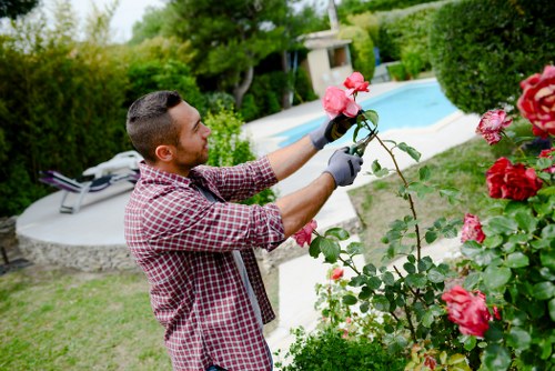 Satisfied customer with a clean garden after clearance