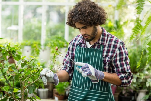 Preparing a garden for professional clearance