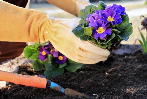 Integrated pest management in Aldgate garden setting