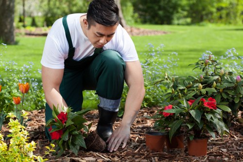 Lawn care techniques for spring in Aldgate