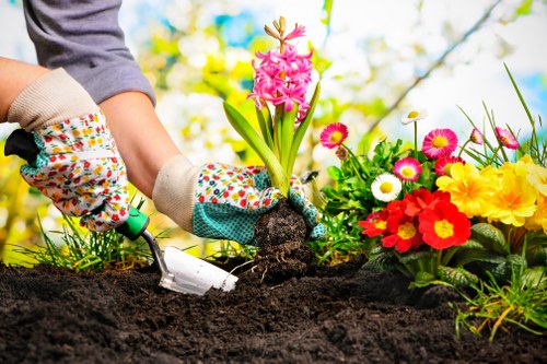 Tools and equipment used for garden clearance