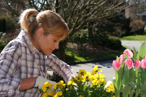 Eco-friendly hedge maintenance practices by professionals