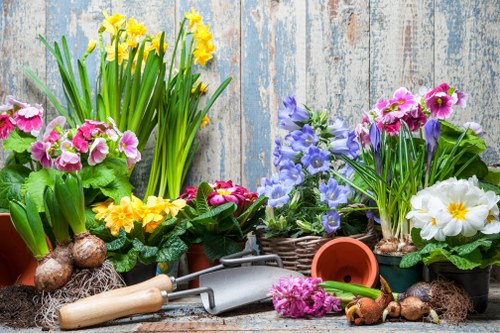 Seasonal flowers blooming in an Aldgate garden
